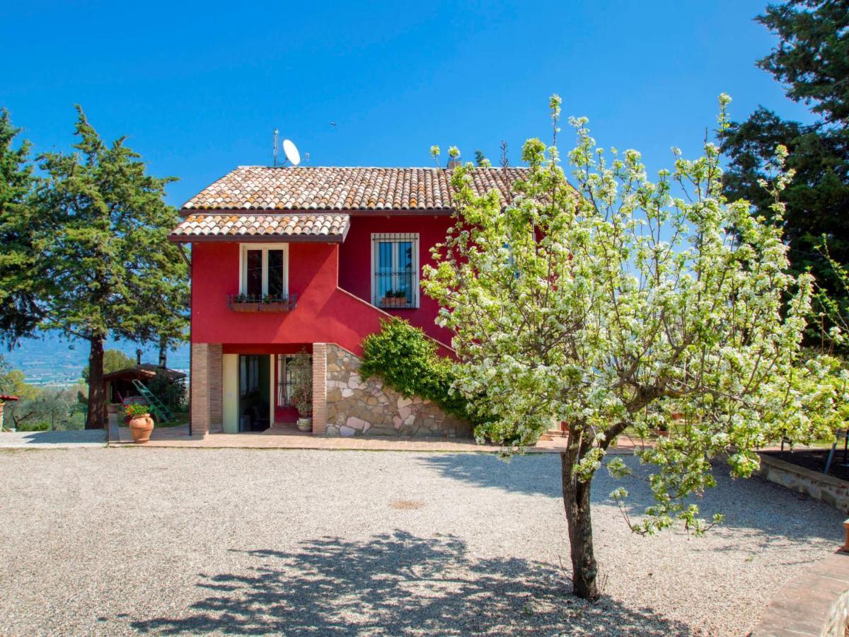 Holiday Home La Letizia By Interhome Collemancio Exterior foto